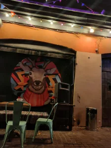 Afalina My vacation Billede 3