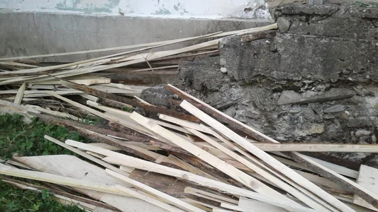 ExquisiteMature Firewood Hình 5