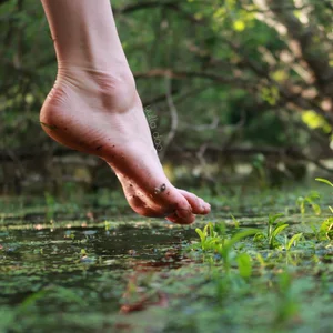 yulladao nymphe des marais Pic 4