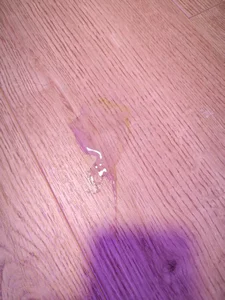 sophieworld life Pic 4