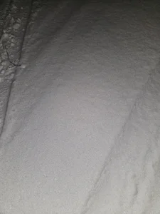 Gris-shadow Kuckt Bilde 4