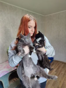 Silvia_Santorskii animal shelter Foto