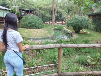 Zdjęcia LinzyBaner Taken with the cell phone: 