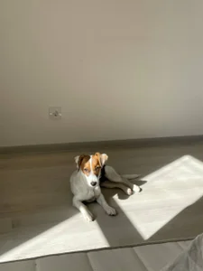 Zdjęcia Airyhill My sweet soul: 