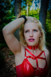 Moistdevil Im Forst Poză 8