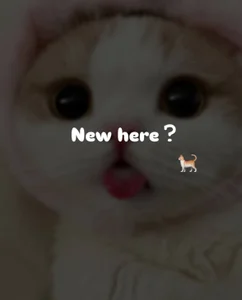 minigirlの:3の 2枚の写真