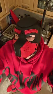 Donaldduck0069 Das bin ich  6. fénykép