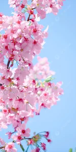 Eroticindian07 Public Foto 5