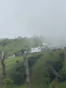 Kylie_Patrick: Public ( фото)