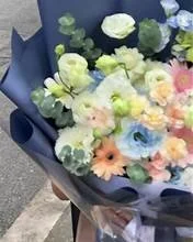 Gatomoney Public 圖片