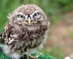 talisma Public Pic 3