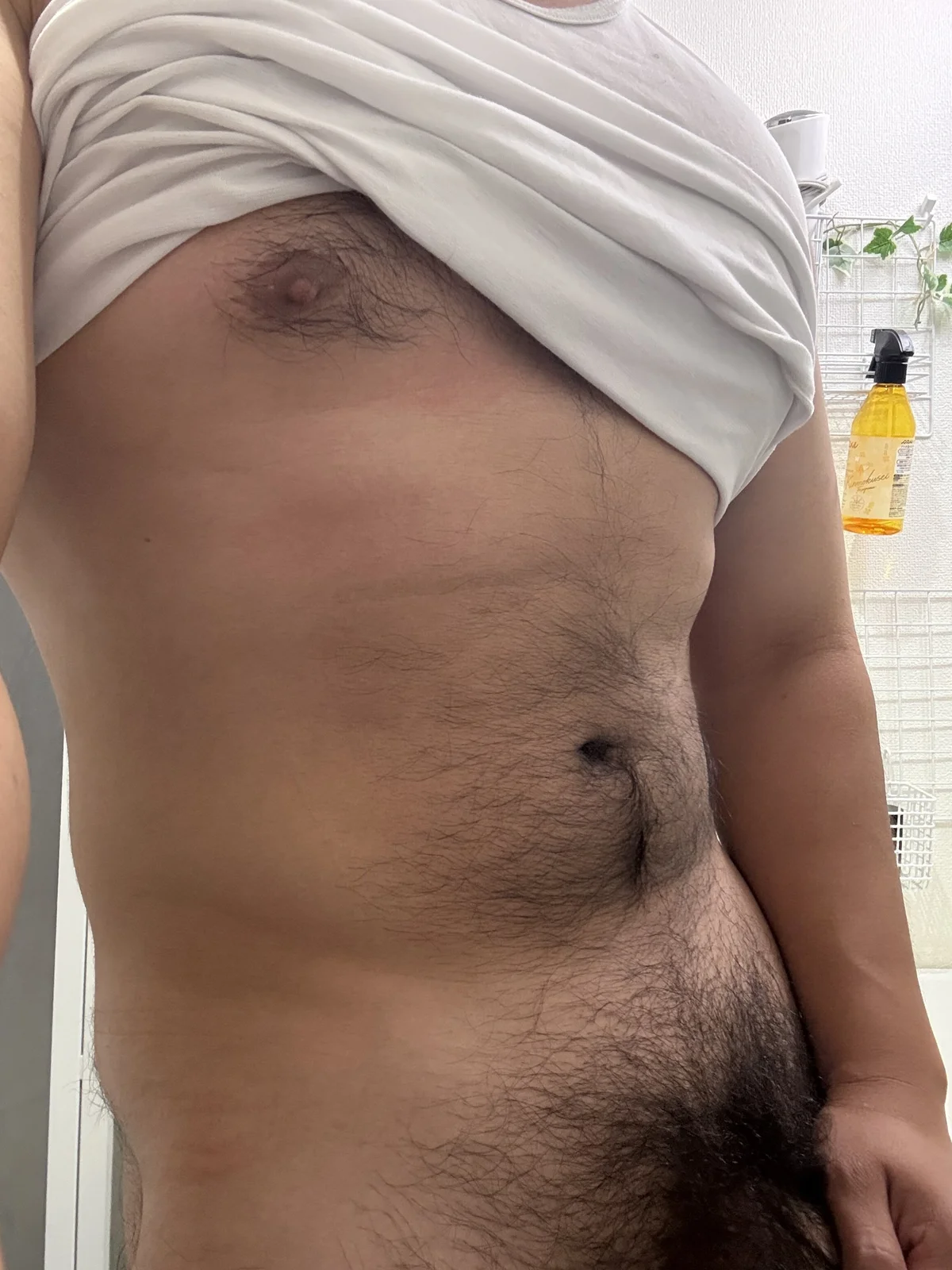 Foto em tendência de sukebegorilla 3708