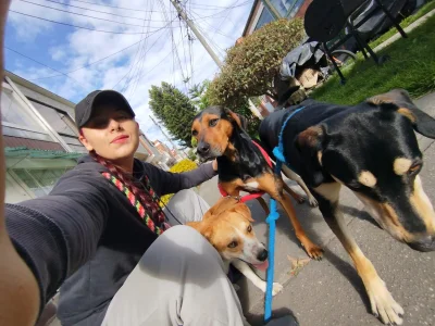 bonnie_moon_ mis enanos 🐶🐾 max, lulu y oddi 💕 Billede