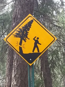 MotoGuy4life Public Pic 3