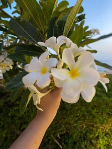 Zdjęcia VictoriaDaeva 🌞From Holiday🌞:  5