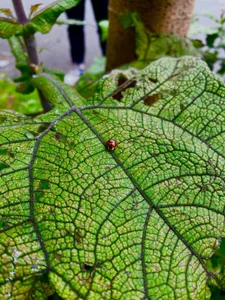 Lili_milk20 ♥♥ Beautiful places Pic 3