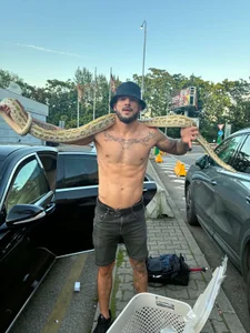 Public de Abestcock93  2 Imagens