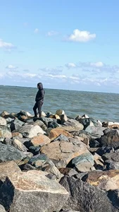 Saysomething3 Public Poză 3