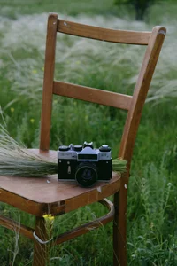 Stacy_Gonzales_ - Pic 2