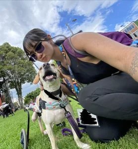 Ca-tmila Volunteer at an animal foundation🐶🐾 Bilde 6