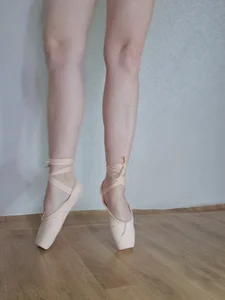 SEA_DreamPublic图片 3