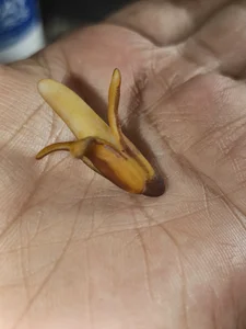 My Hobbie ( what I hope my business will be over time) de Kuutar Foto 3