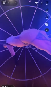 Jynx420friendly Me !  4. fénykép