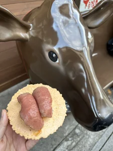 ごはん最高 de OSUSHI-CHAN Foto