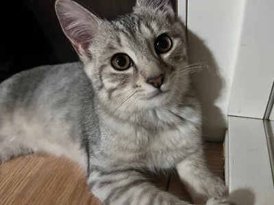 EvaThopson's photo