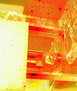 __Bonnie_and_Clyde_ Public Bilde 2