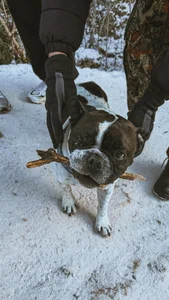 gr290 🫶🏻 slika 3