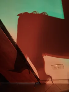 Mysterius_WomanのLegsの 6枚の写真