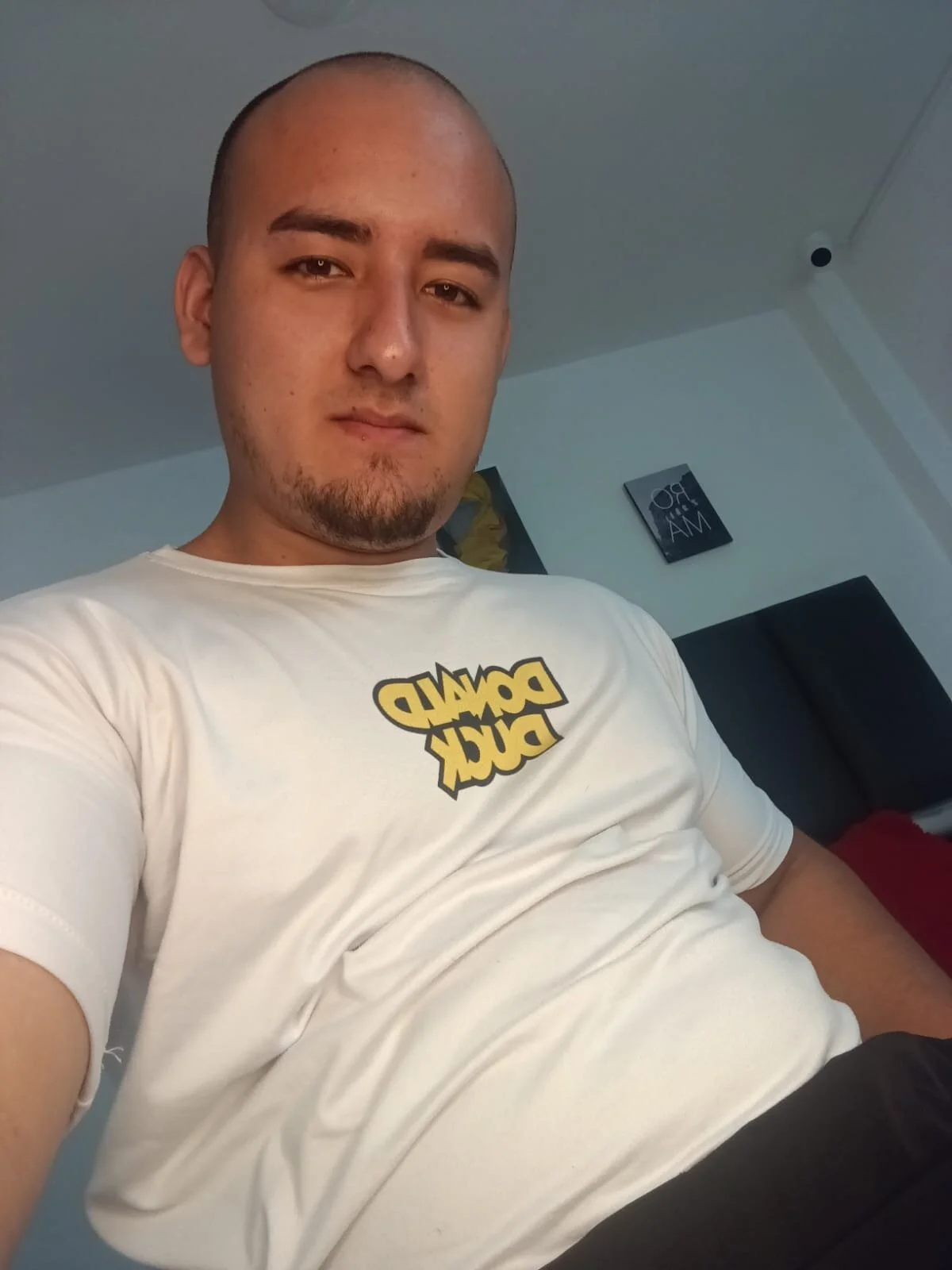 Трендове зображення  1162 Elgranfranco24s