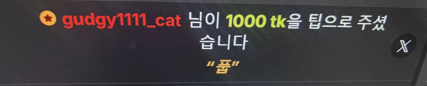 Kor_Cat 내 사랑둥이들 ❤️❤️❤️ 사진 4