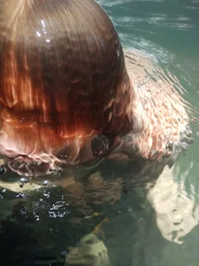 Tom_Krakow espumoso Pic 3