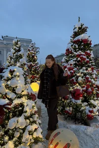 AmiliFox1Public图片 5