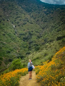 Daniela_RodrigueZz naturaleza en Chile🌿🪵🇨🇱 Immagine  3