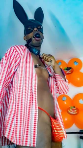 mrjhon26のSexy rabbitの 7枚の写真