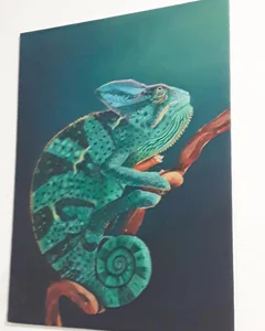 cherrydelioncourt My paintings ❤❤❤ Bilde 5