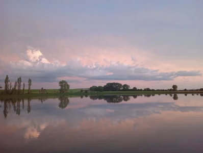 RagingRebecca Public Immagine 