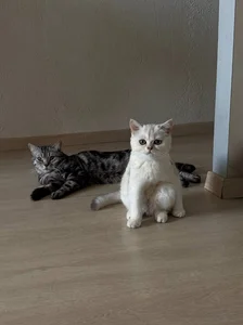 LouiseChavez: unbelievably ( фото)