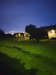 CitratedPaean Wieczór i ja Immagine  4