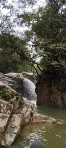 Zdjęcia Scarlett_grey1 Knowing beautiful places ⛰️🌲🍃🧘‍♀️:  3