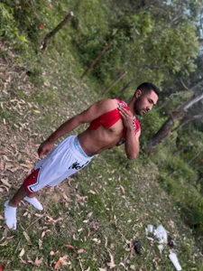 almbun 7 de Hzorro1  7 Imagens