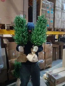 PrincessandSGP: Ggwp ( фото)