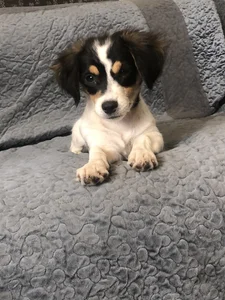 sofiah_ my loves :) Fotka 3