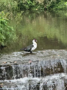 Ahri_Elderwood I want to share a little about my beautiful country and my vacations ❤️ Pic 5