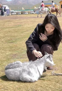 cdyyds003 悦悦 slika