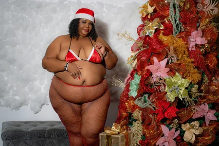 Exoticbigmandy MERRY CHRISTMAS AND HAPPY NEW YEAR Poză 6
