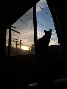 lana_dol: 👽 ( фото)